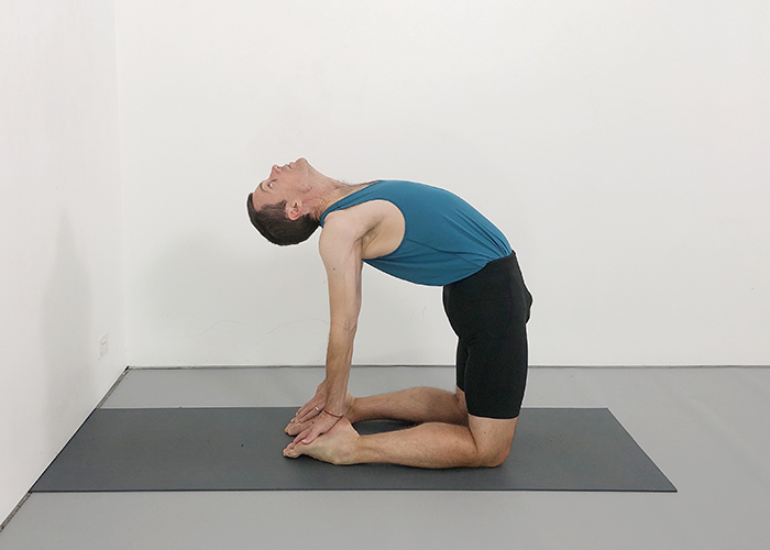 ustrasana (camel pose)