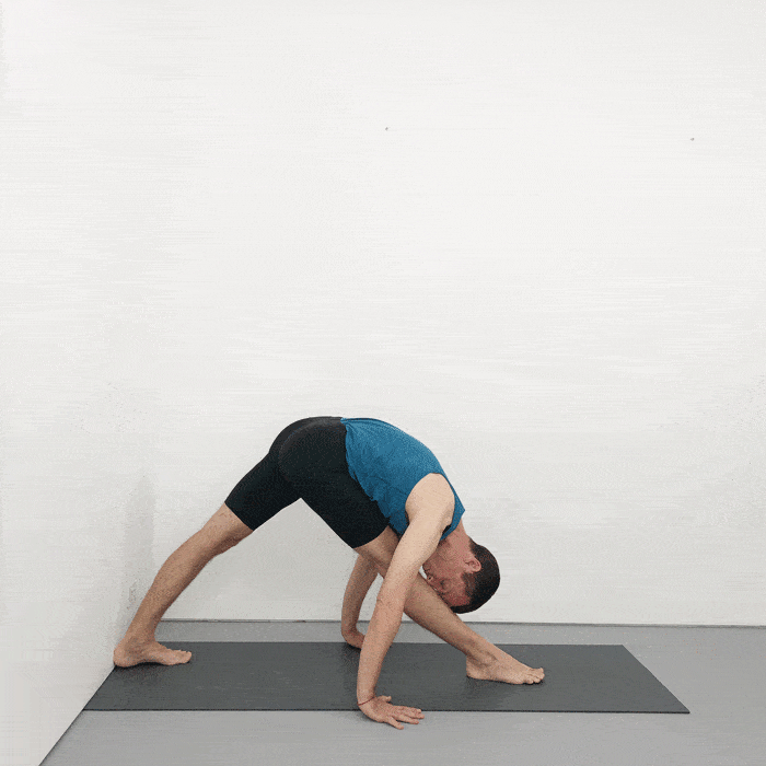parsvottanasana