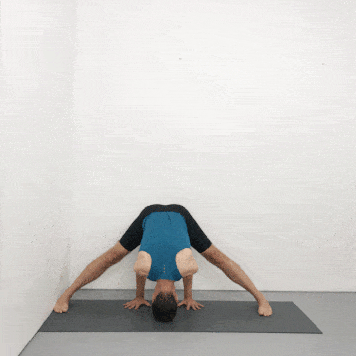 prasarita padottanasana iyengar yoga
