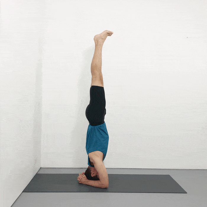 sirsasana (headstand)