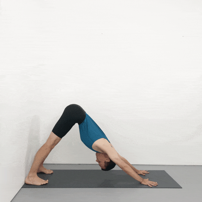 downward facing dog pose iyengar yoga