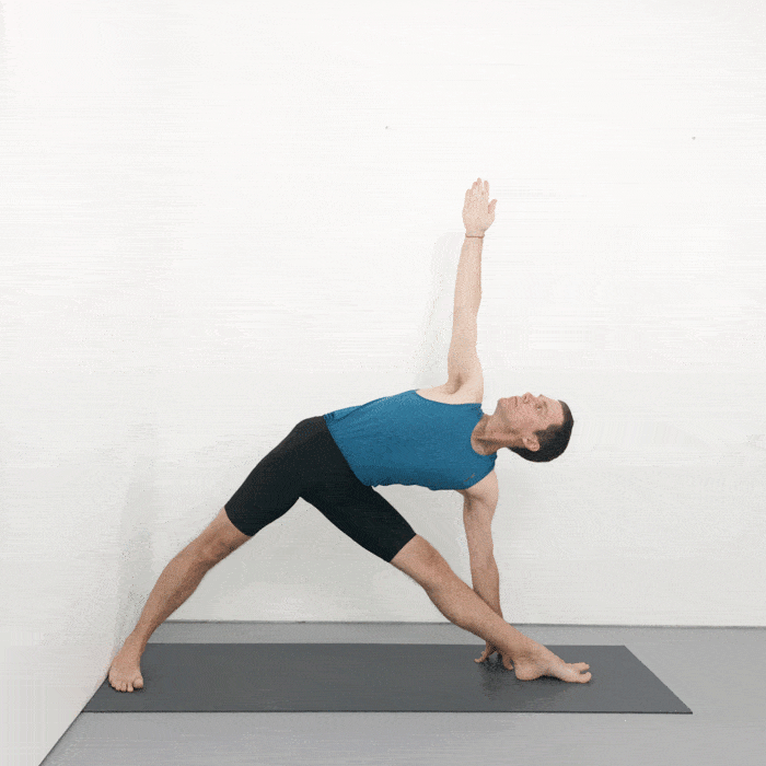 trikonasana iyengar yoga