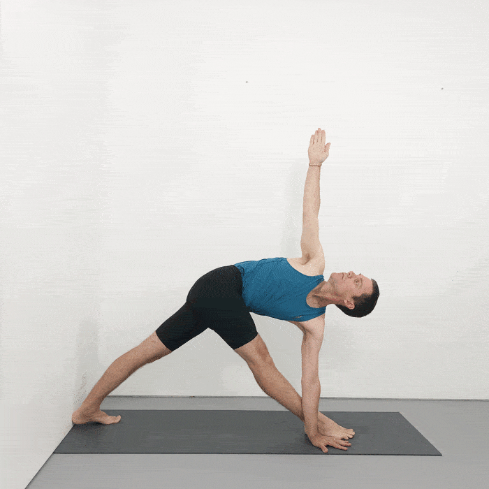 parivrtta trikonasana iyengar yoga