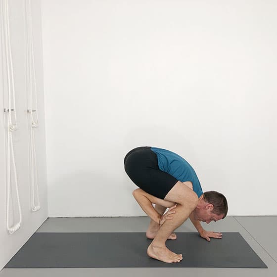 dwi hasta bhujasana positioning arms