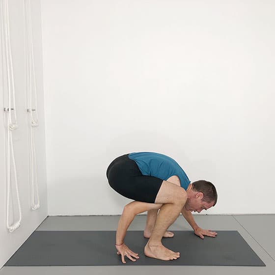 positioning hands dwi hasta bhujasana