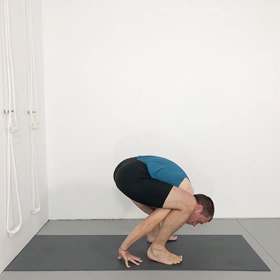 shoulders under legs dwi hasta bhujasana