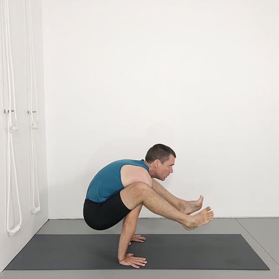 dwi hasta bhujasana (two handed arm pose)