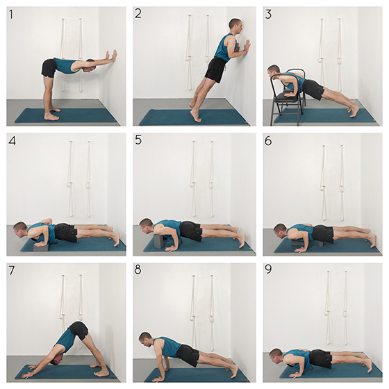 chaturanga dandasana