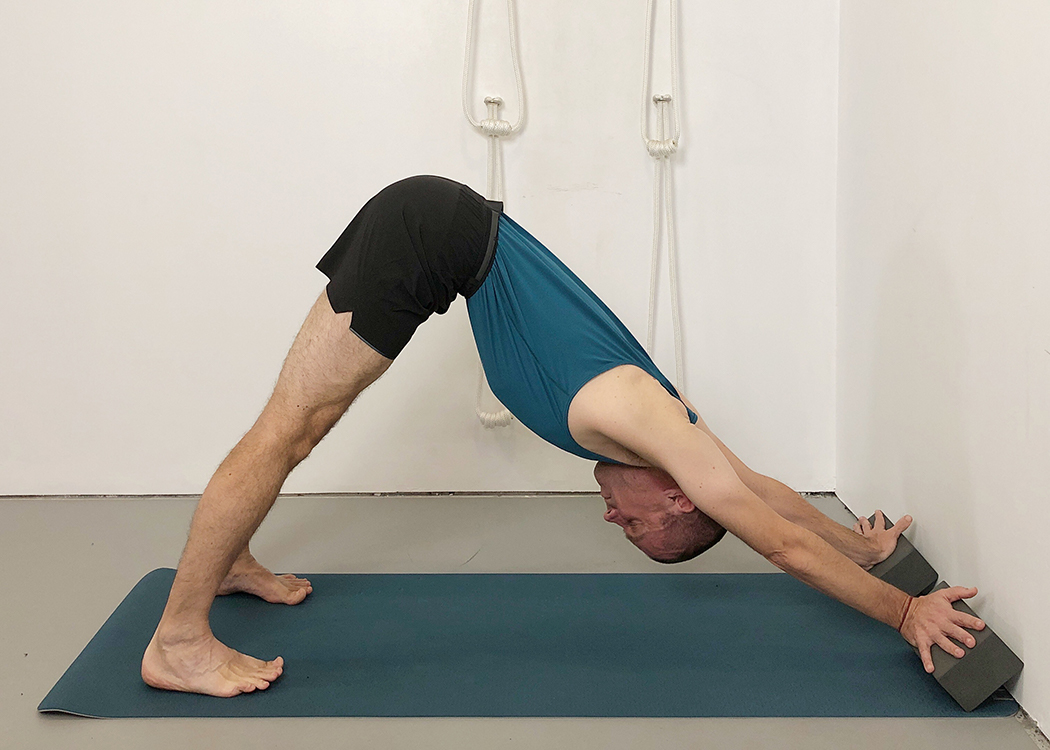 Adho mukha svanasana