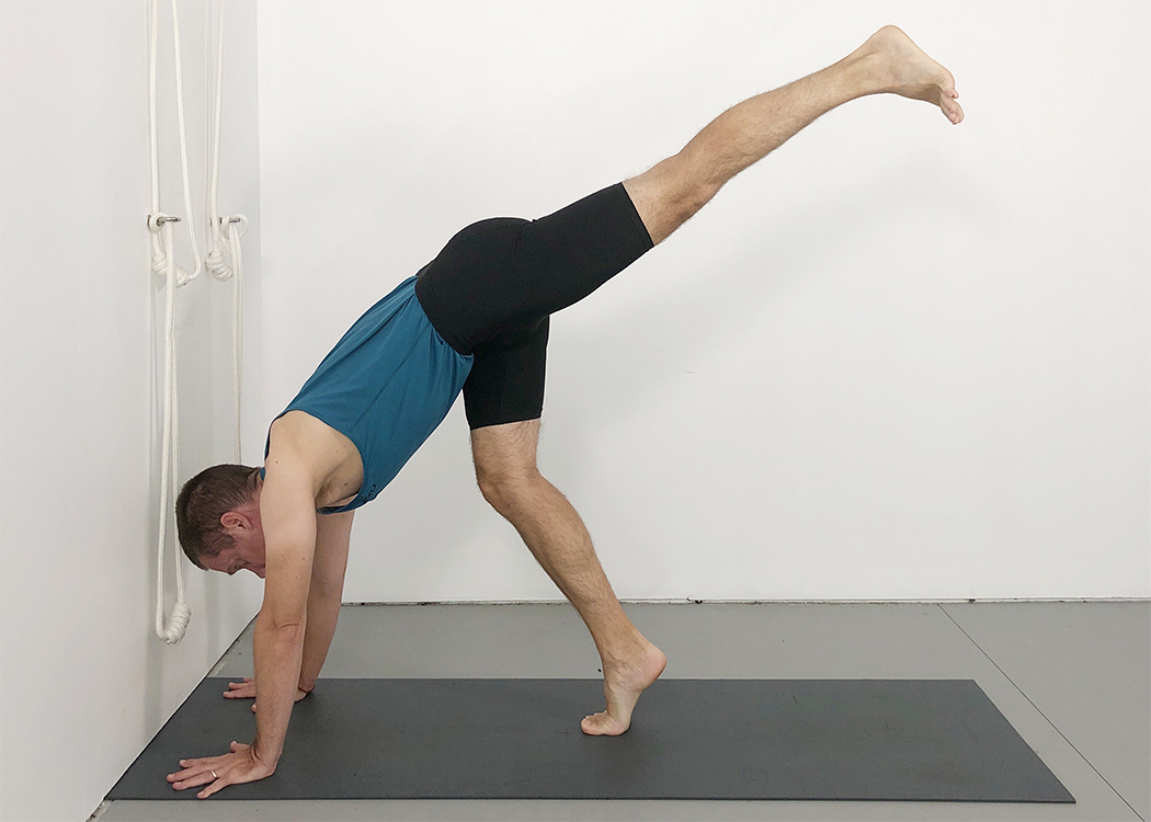 adho mukha vrksasana