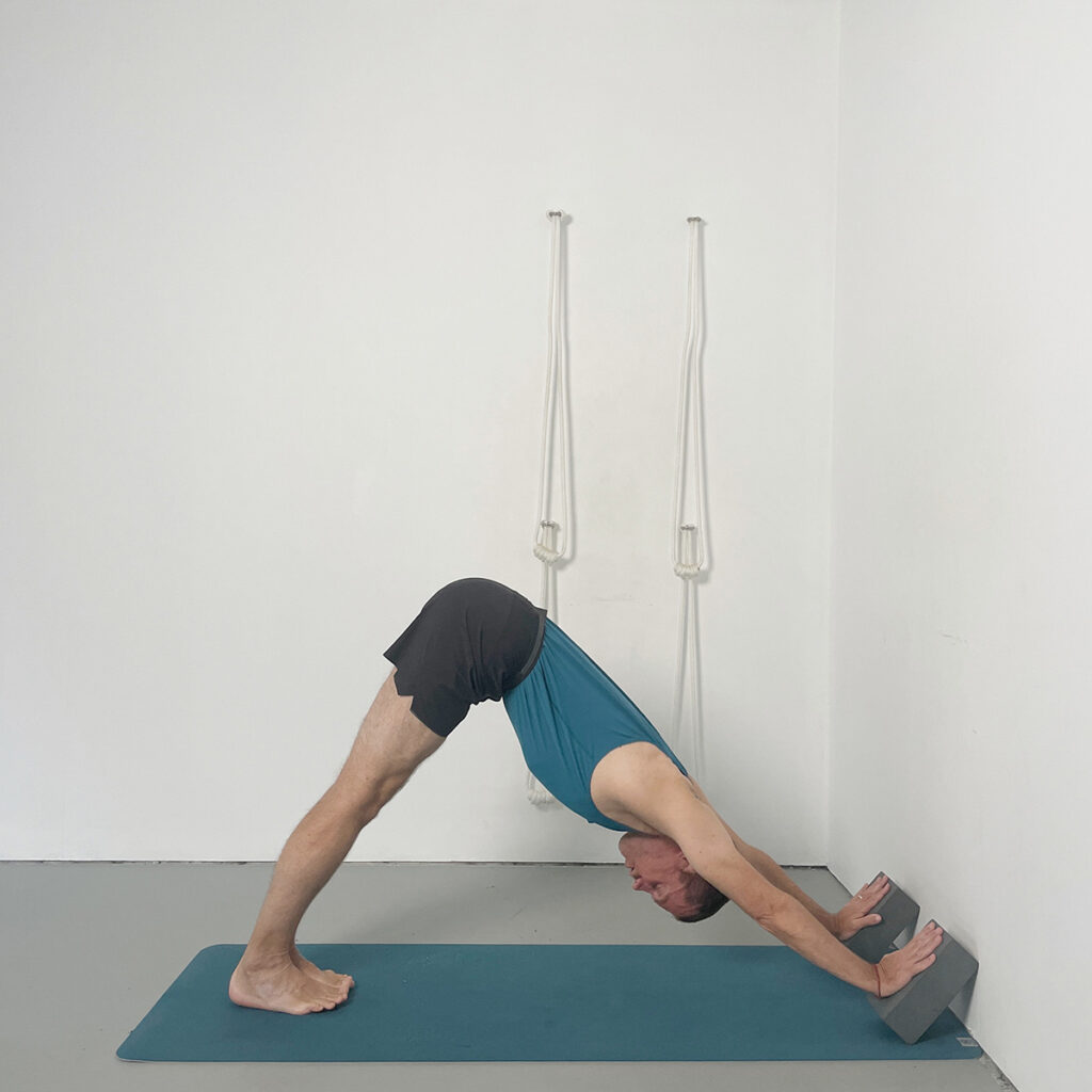Adho Mukha Svanasana Preparation – Hands on Angled Blocks