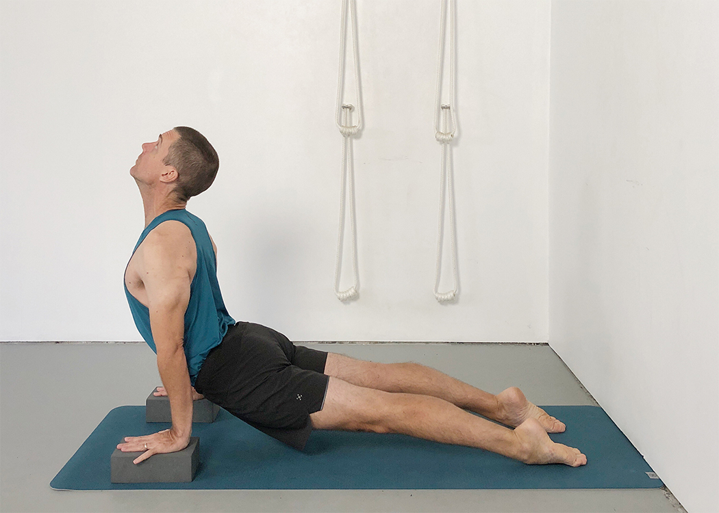Urdhva mukha svanasana (upward facing dog pose)