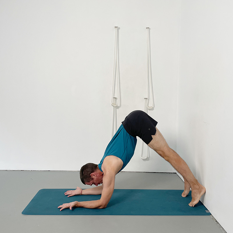 forearm balance preparation with palms turned up