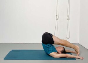 Yoga For The Cardiovascular System – Weekly Intermediate Class 252