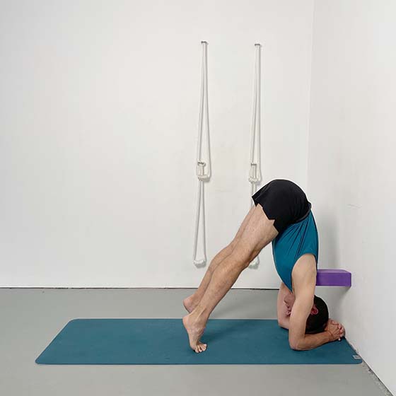 step by step guide to sirsasana