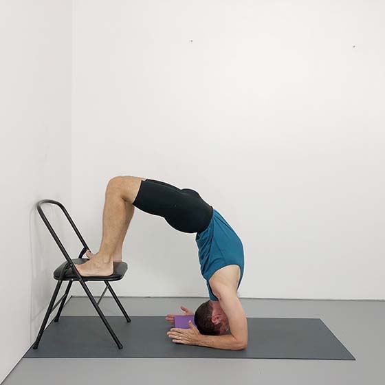 learn how to do vrschykasana