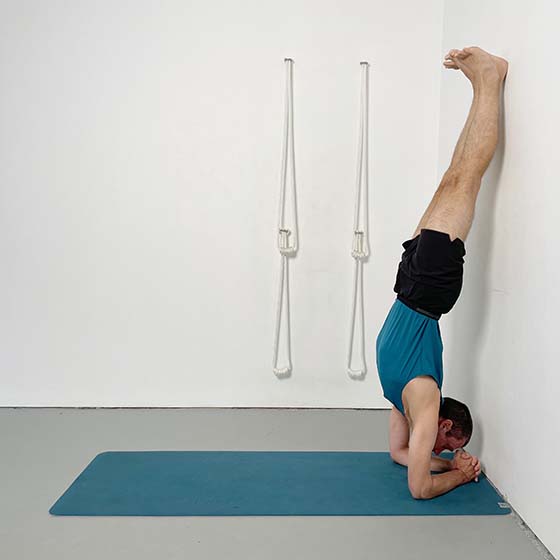 headstand (sirsasana)