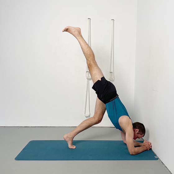 learn how to kick up into sirsasana