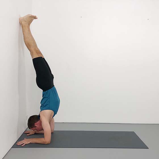 pincha mayurasana