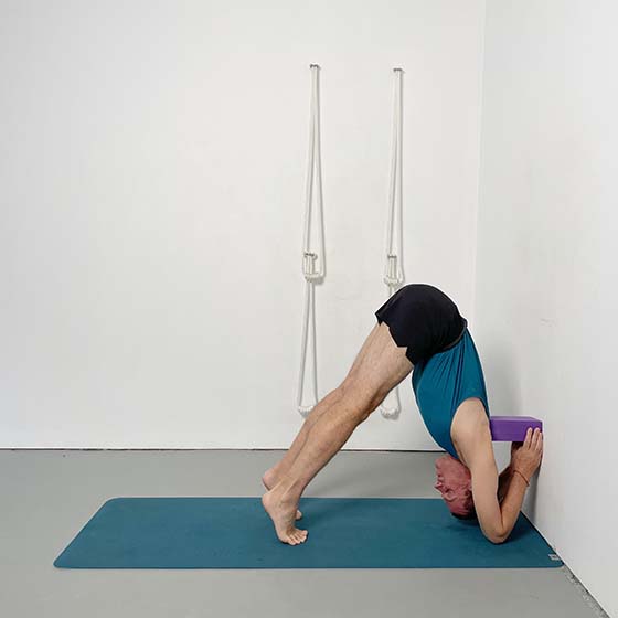 sirsasana preparatory variations