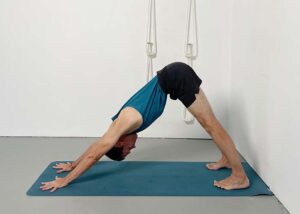 Nine Essential Yoga Poses In Thirty Minutes – Weekly Intermediate Class 277