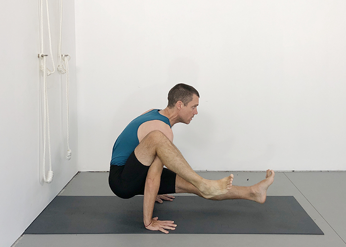 eka hasta bhujasana (elephant trunk pose)