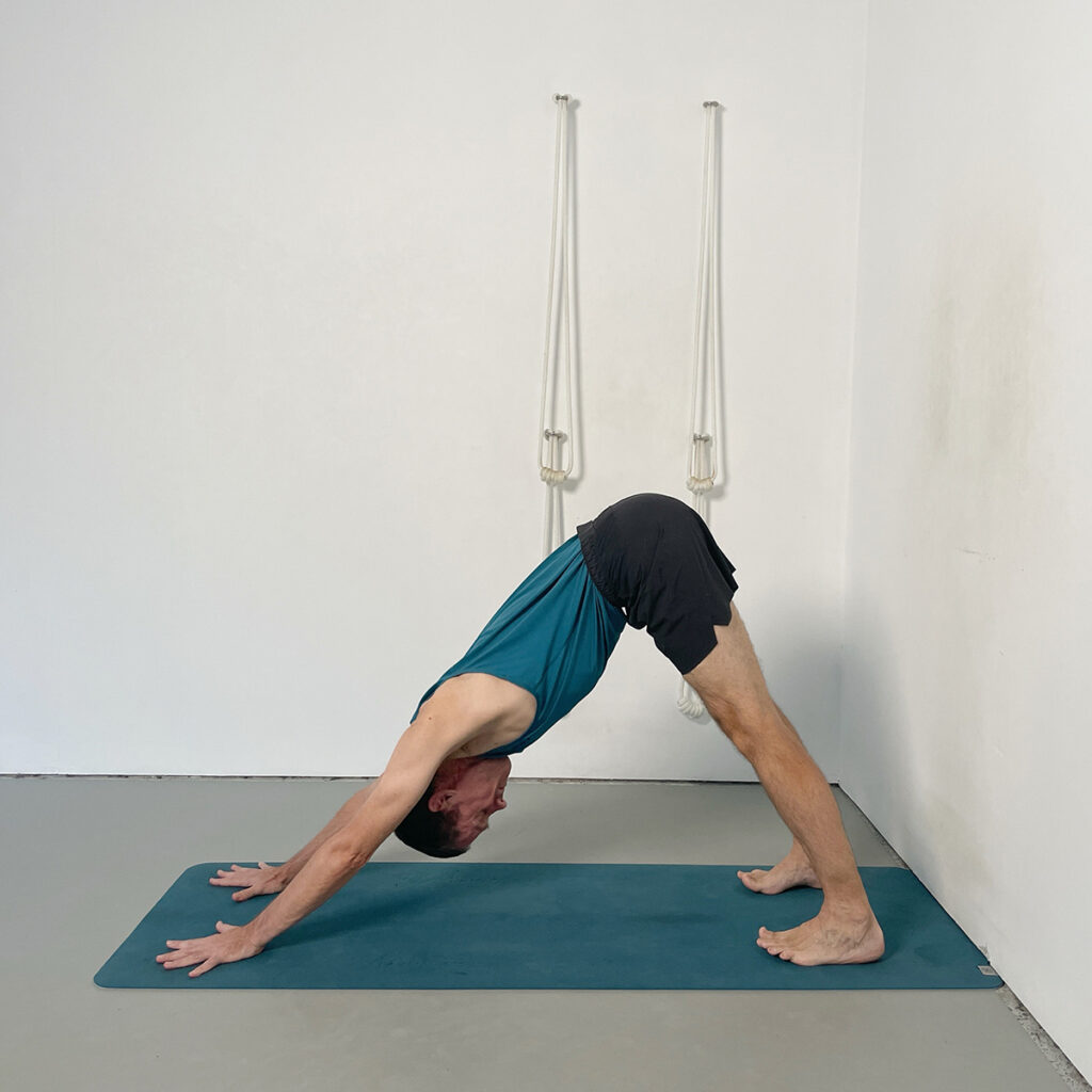 adho mukha svanasana