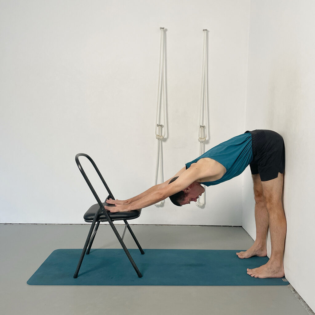 dog pose hands on a chair