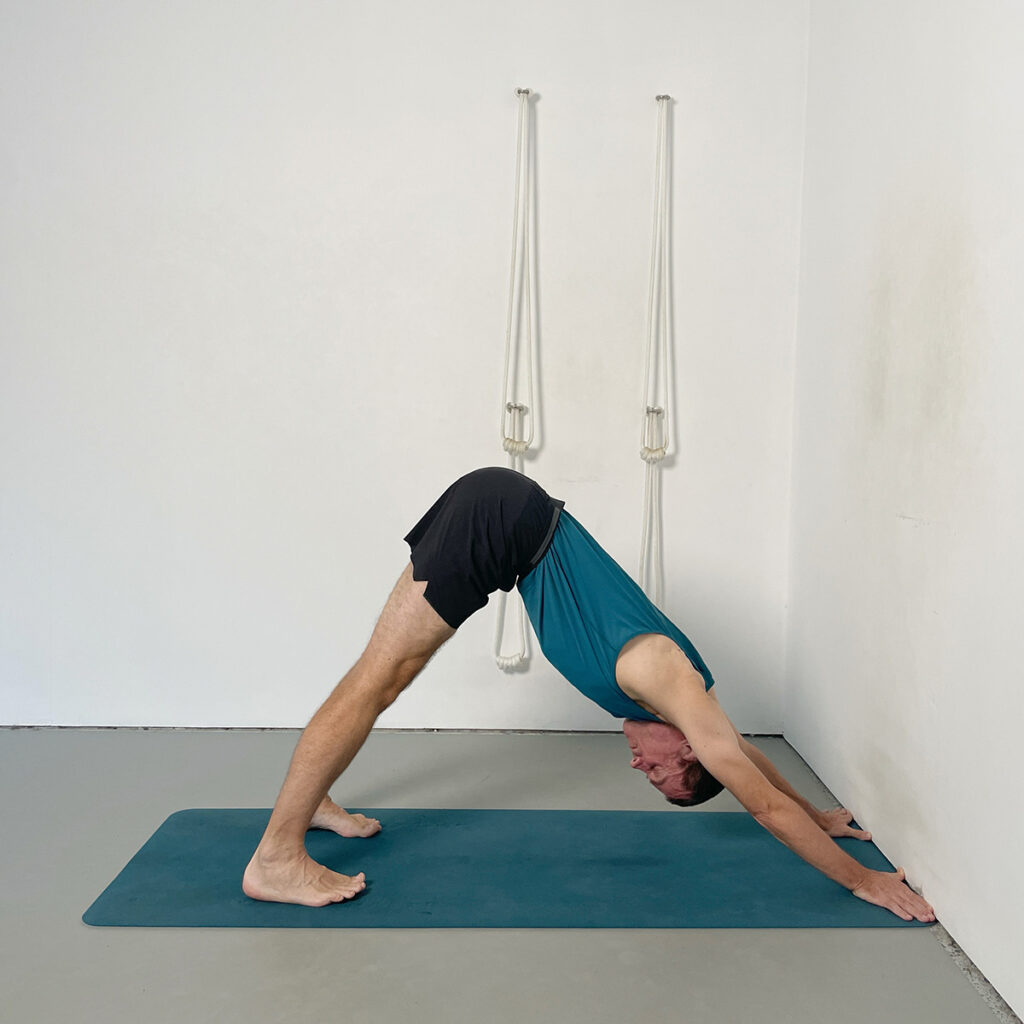 dog pose with thumb and index finger to the wall