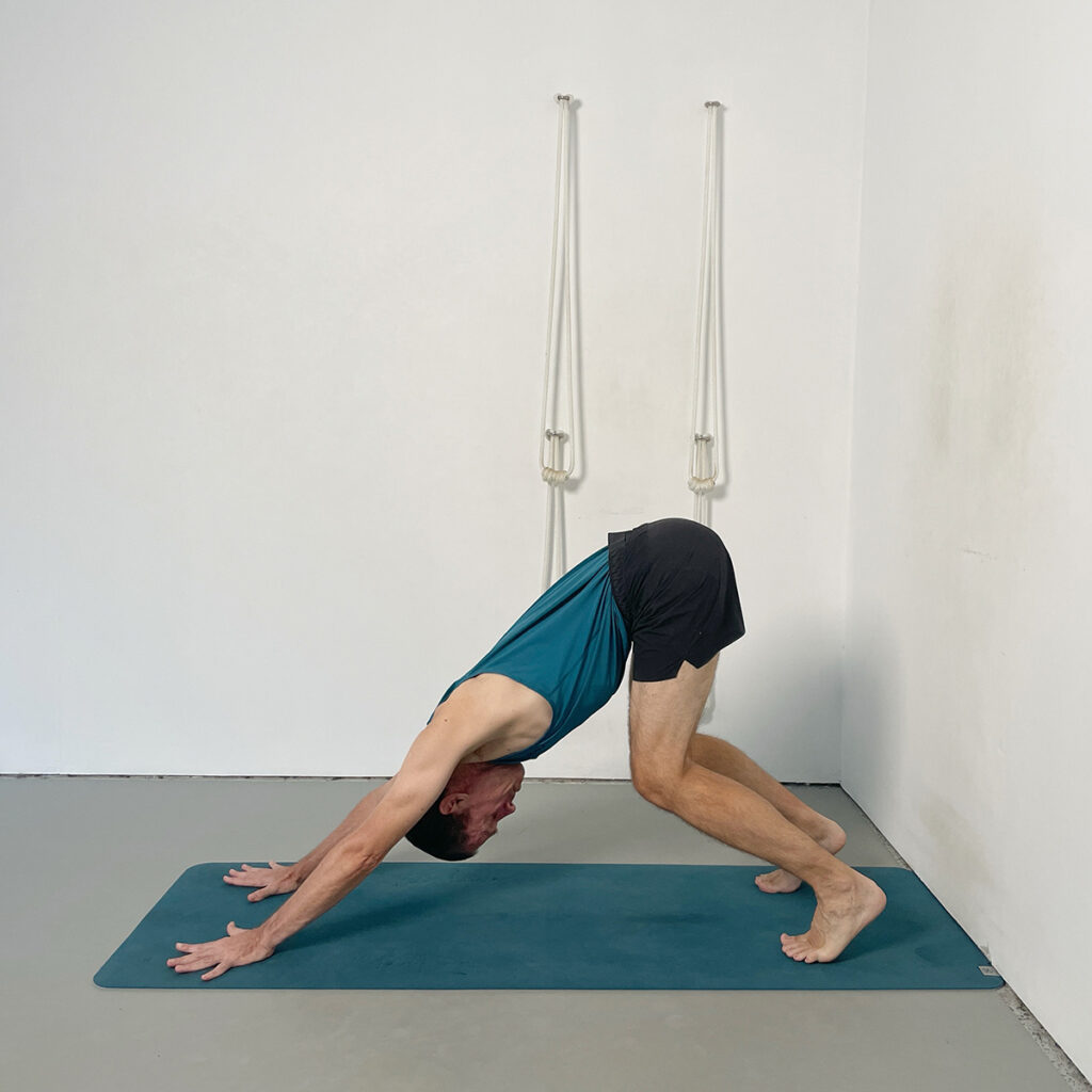downward facing dog pose modification with bent knees