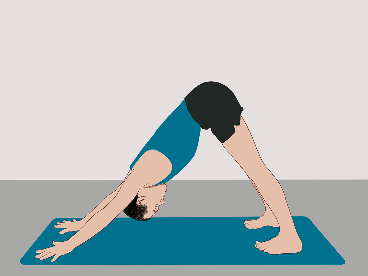 Downward facing dog pose (adho mukha svanasana)
