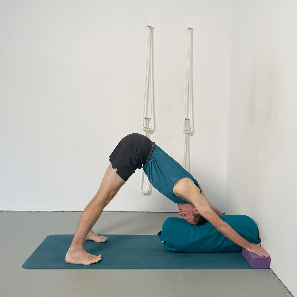 supported downward facing dog pose