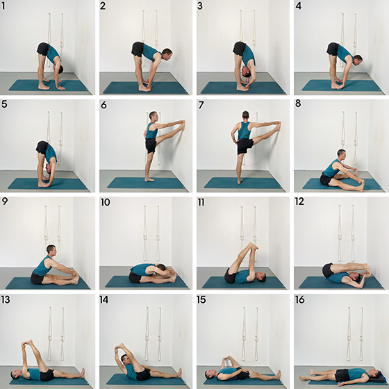 hamstrings and adductors