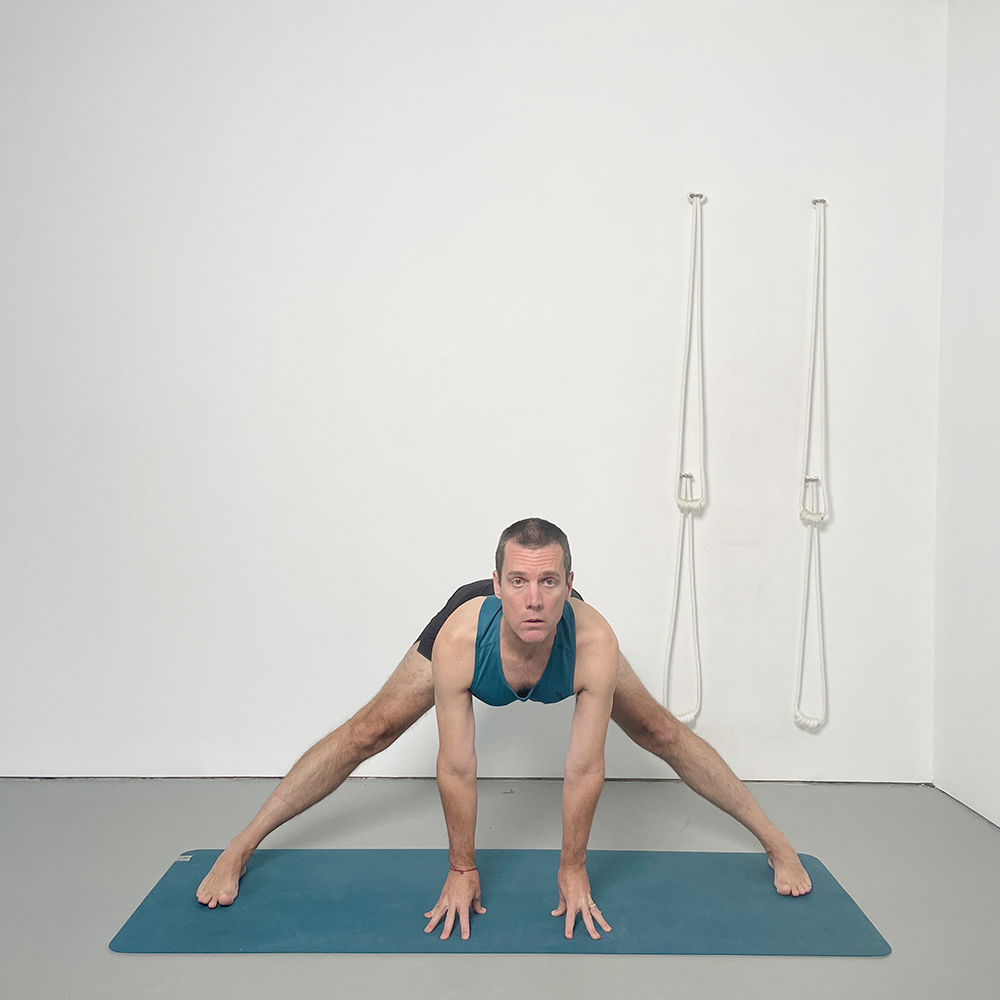 prasarita padottanasana