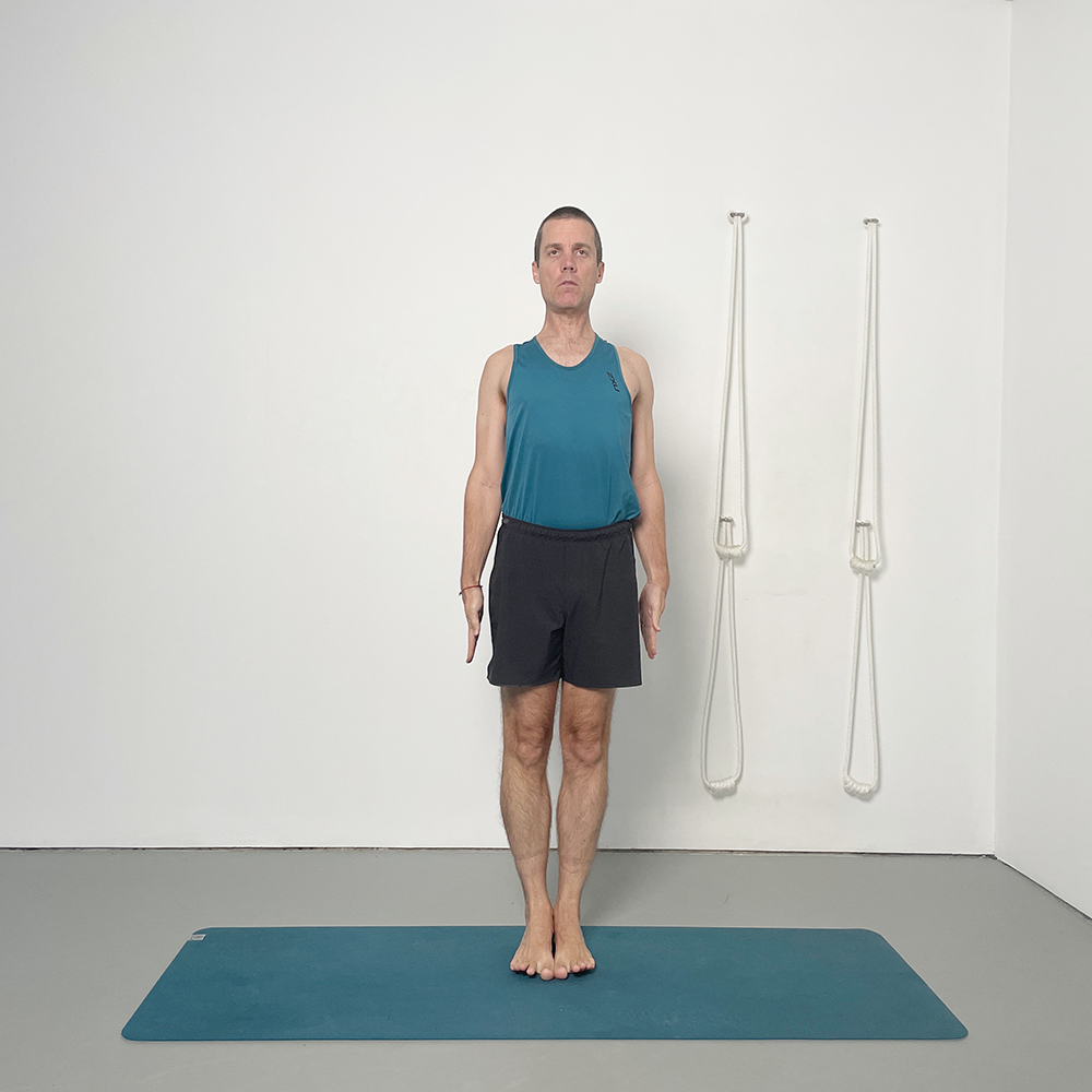 iyengar yoga poses for beginners