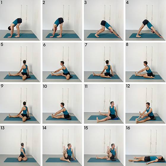 forward bends and twists