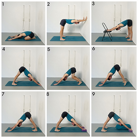 downward facing dog pose