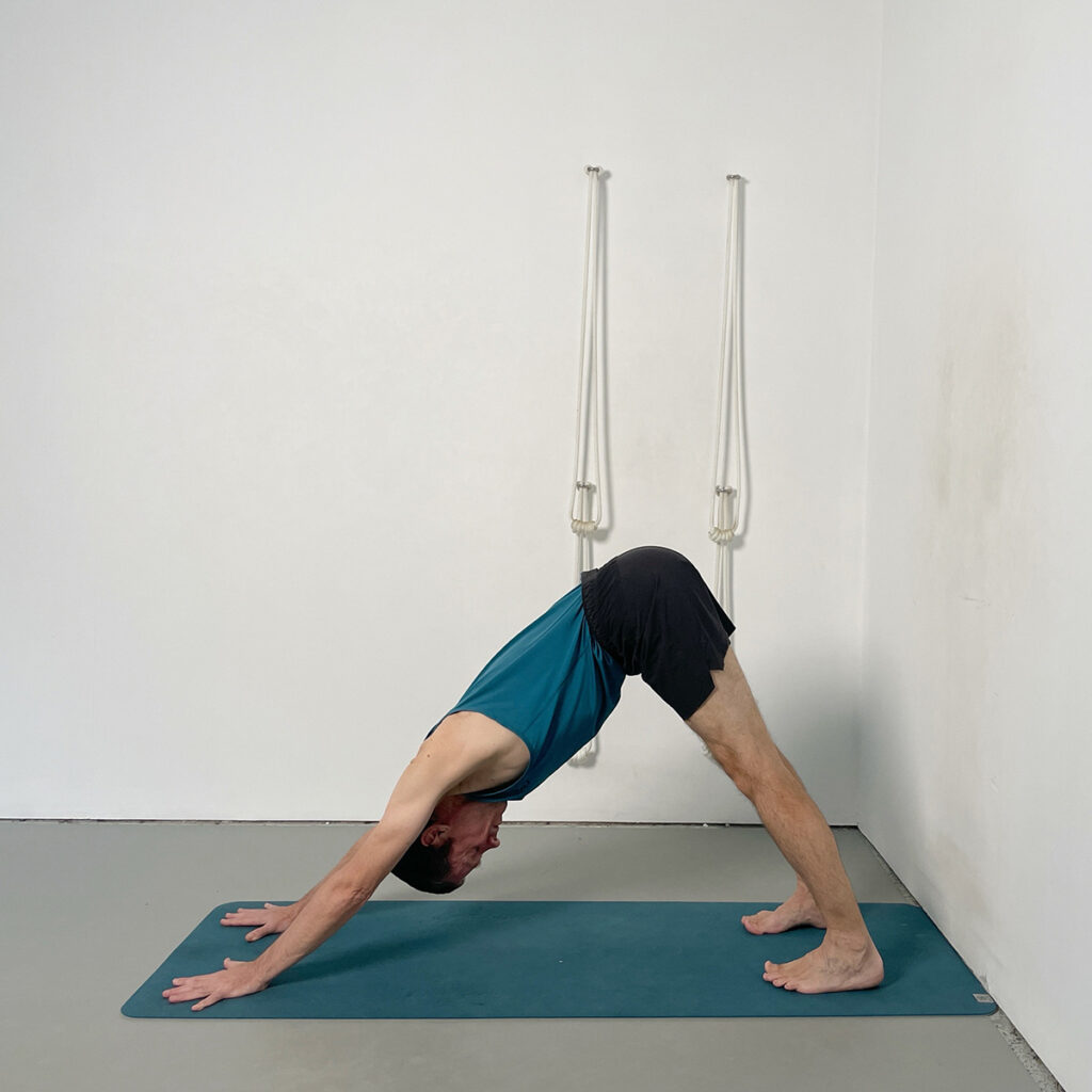adho mukha svanasana 